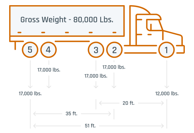 Infographic about Gross Weight